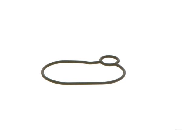 BOSCH 2440210054 | O-Ring