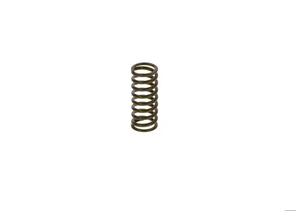 BOSCH 2444618002 | Basınç / Baskı Yayı