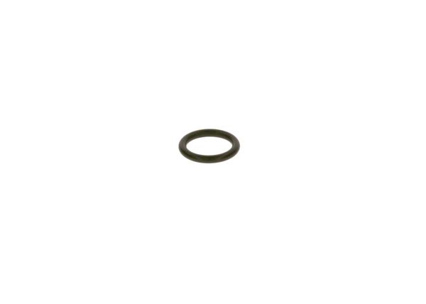 BOSCH 2450210000 | O-Ring