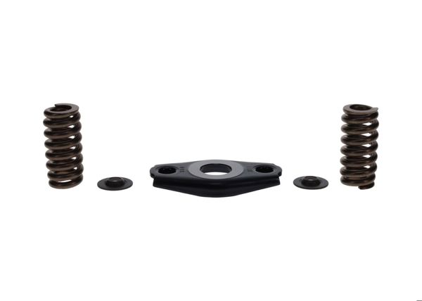 BOSCH 2467010007 | Rotor Yayı