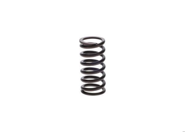 BOSCH 9411034650 | Basınç / Baskı Yayı