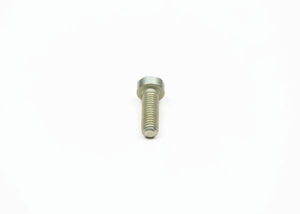BOSCH F002D12606 | Torx Silindirik Vida