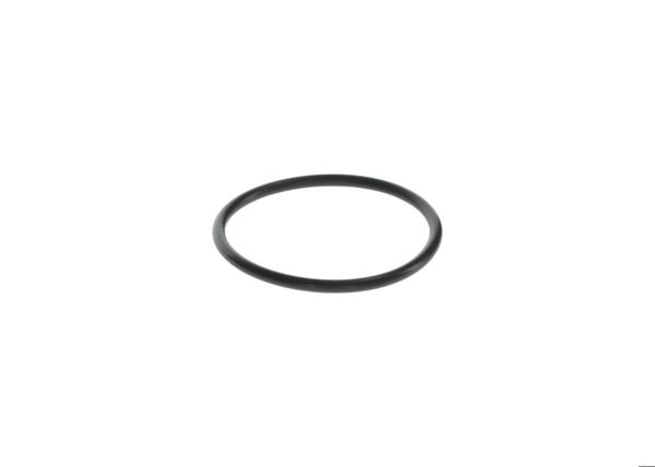 BOSCH F00HN37072 | O-Ring Volvo 20460073-01319624