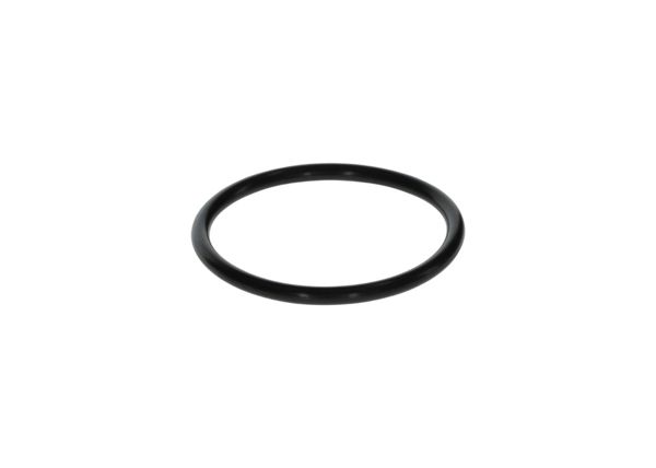 BOSCH F00N200018 | O-Ring