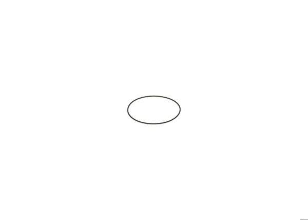 BOSCH F00N201204 | O-Ring
