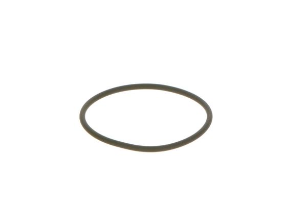 BOSCH F00N201306 | O-Ring