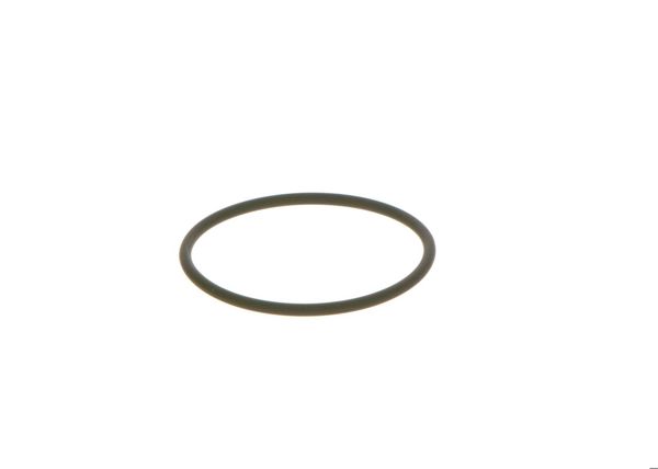 BOSCH F00N202130 | O-Ring