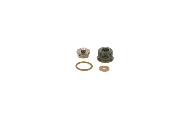 BOSCH F00N202418 | Valf Takım