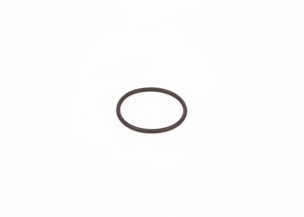 BOSCH F00R0P0166 | O-Ring