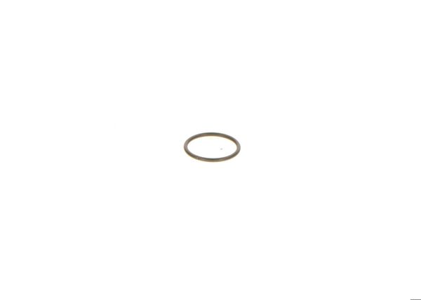 BOSCH F00RJ00342 | O-Ring