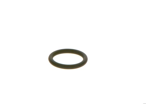 BOSCH F00RJ01605 | O-Ring