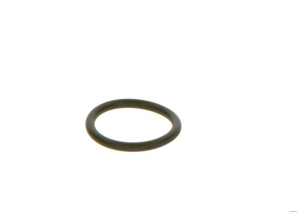 BOSCH F00RJ01728 | O-Ring