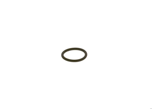 BOSCH F00RJ01950 | O-Ring