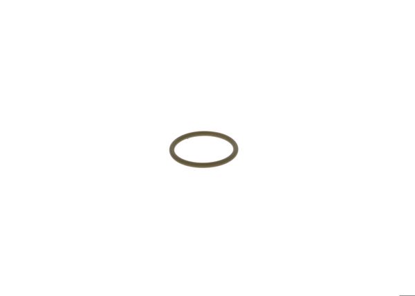 BOSCH F00RJ01951 | O-Ring