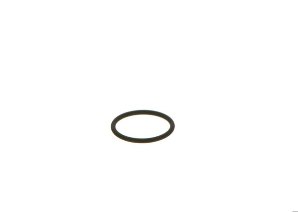BOSCH F00VD38010 | O-Ring