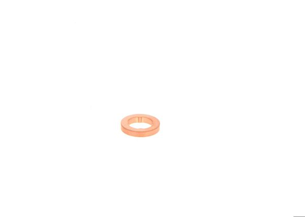 BOSCH F00VP01008 | Sızdırmaz Halka 2mm