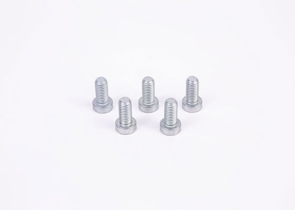 BOSCH F01M100684 | Silindir Vidası