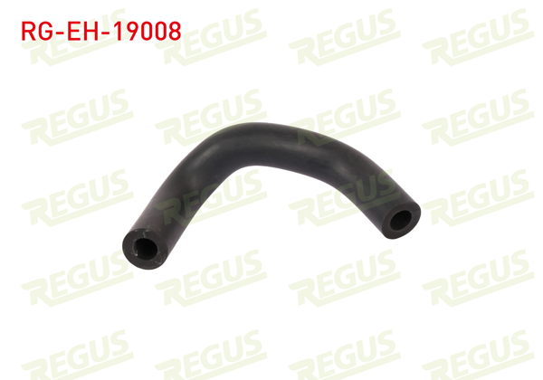 REGUS RG-EH-19008 | Karter Havalandırma Hortumu Fiesta 1.25-1.4-1.6 / Focus 1.6