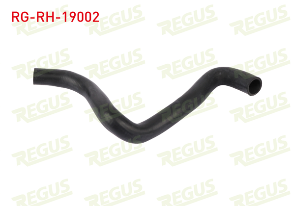 REGUS RG-RH-19002 | Radyatör Hortumu Üst Ford Focus II (Da) 1.4İ 2004-2011