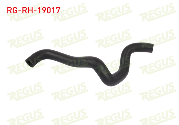 REGUS RG-RH-19017 | Radyatör Hortumu Üst Ford Focus I (Daw,Dbw) 1.6İ 16V 1998-2004