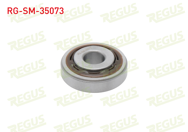 REGUS RG-SM-35073 | Amortisör Rulmanı Ön Renault Traffic II 01-14, Traffic III 15-, Opel Vivaro A 01-14, Opel Vivaro B 15 -