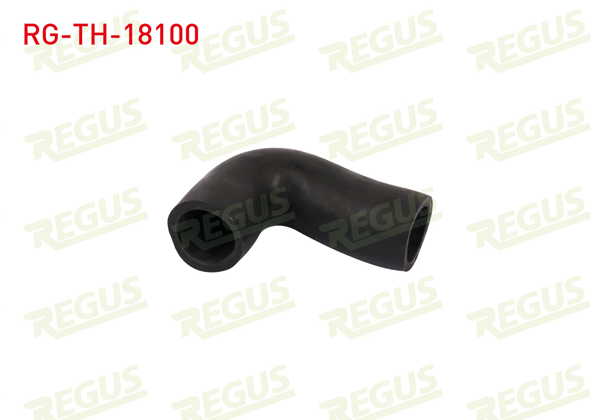 REGUS RG-TH-18100 | Turbo Hortumu Fiorino 1.3 Mtj 2015 -