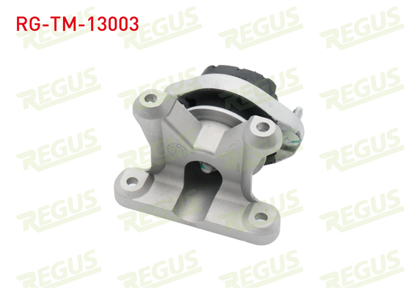 REGUS RG-TM-13003 | Şanzıman Takozu A-T Audi A4 (8E2,B6) 1.6 2000-2004