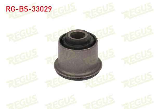 REGUS RG-BS-33029 | Salıncak Burcu Ön Sol-Sağ Alt Peugeot 406 (8B) 1.6 1995-2004