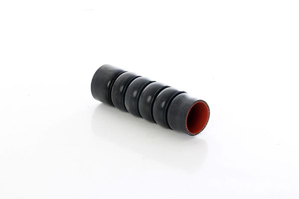 BSG 30-720-308 | Intercol Hava Hortumu