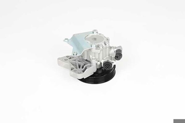 BSG 15-355-023 | Direksiyon Pompası Freelander 1 2.0 Td4 00-06