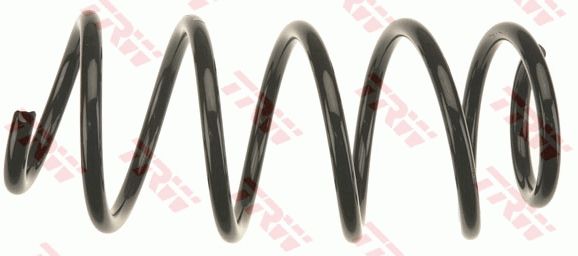 TRW JCS1353 | Helezon Yayı Ön