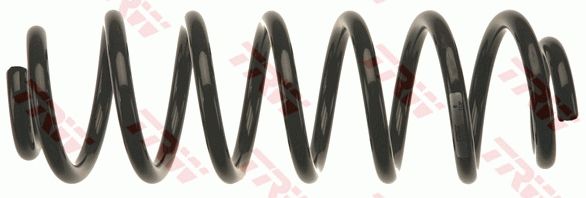 TRW JCS1362 | Helezon Yayı Arka