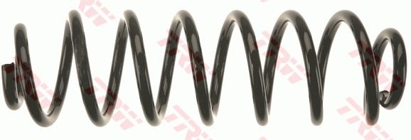 TRW JCS1383 | Helezon Yayı Arka