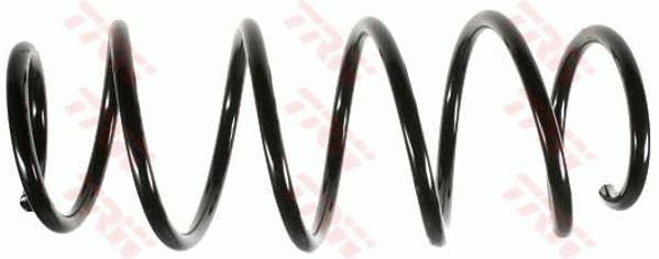 TRW JCS417 | Helezon Yayı Ön