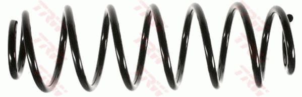 TRW JCS452 | Helezon Yayı Arka