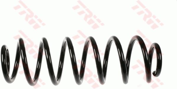 TRW JCS640 | Helezon Yayı Arka