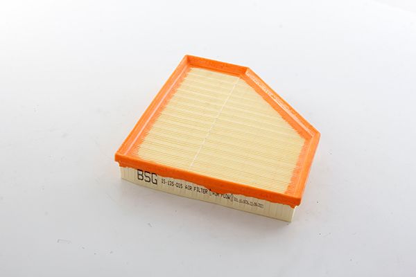 BSG 15-135-035 | Hava Filtresi