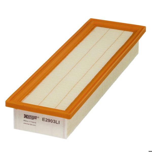 HENGST E2903LI | Polen Filtresi Fendt, Agco Bm .