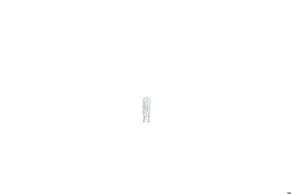 BOSCH 1987302218 | 12V 2W Purelıght
