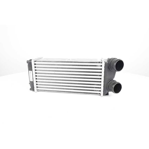 BSG 70-535-005 | Turbo Radyatörü  307/C4 1.6 HDI 04-