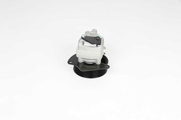 BSG 15-355-031 | Direksiyon Pompası  Land Rover Range Rover Discovery III-IV Sport 2.7 D-2.7 TD-3.0 D 03-16
