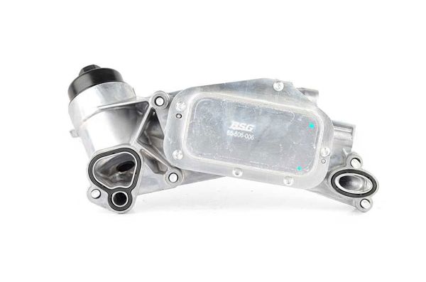 BSG 65-506-006 | Yağ Soğutucusu Komple