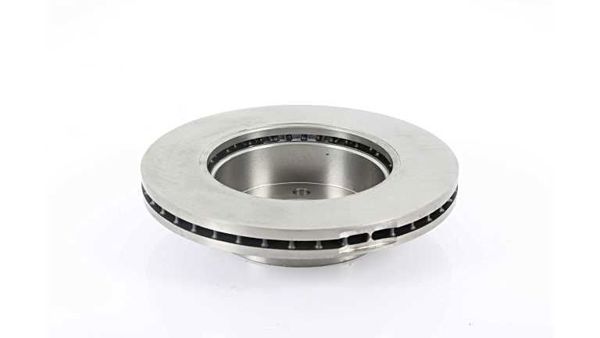 BSG 90-210-030 | Fren Diski Ön Df6589s (Adet Fıyat)