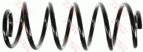 TRW JCS262 | Helezon Yayı Ön