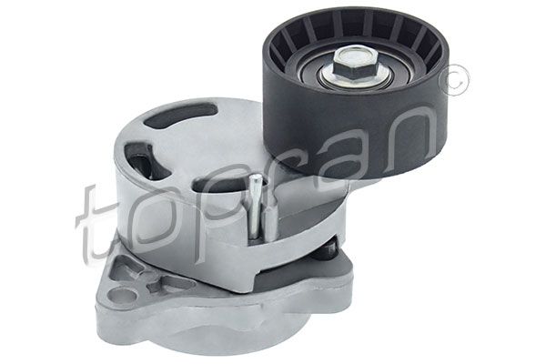 TOPRAN 208415001 | Gergi Rulmanı Kütüklü (Master 2.5 DCI G9u)