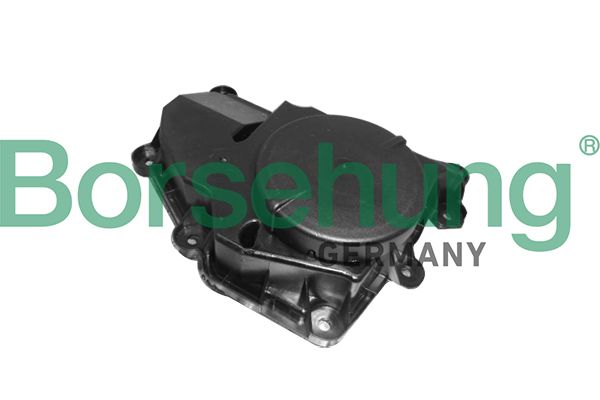 BORSEHUNG B11918 | Yağ Seperatörü (Kartel) Polo-Ibiza-Fabia