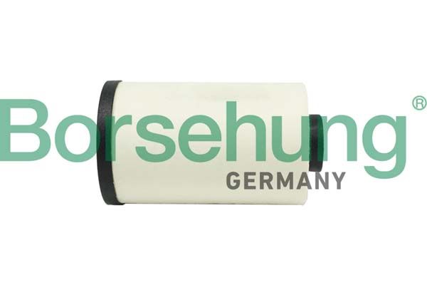 BORSEHUNG B12417 | Şanzuman Yağ Filtresi (Otomatik) Golf5-Golf6-Golf7-Jetta-Passat-Leon-A3-Octavia 2004 >