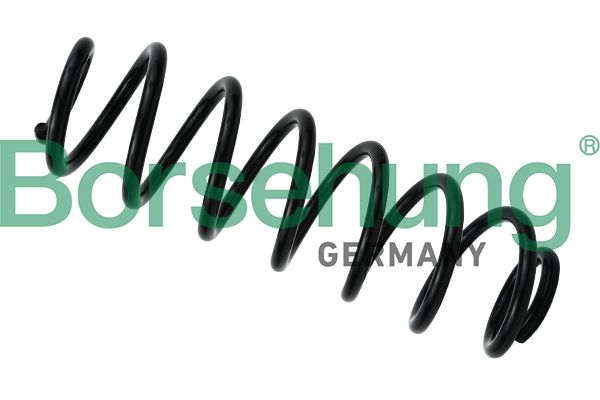 BORSEHUNG B12624 | Arka Helezon Yayı Golf5 Golf6 Jetta Passat A3 Leon 2004 > (Sacsh 994329)