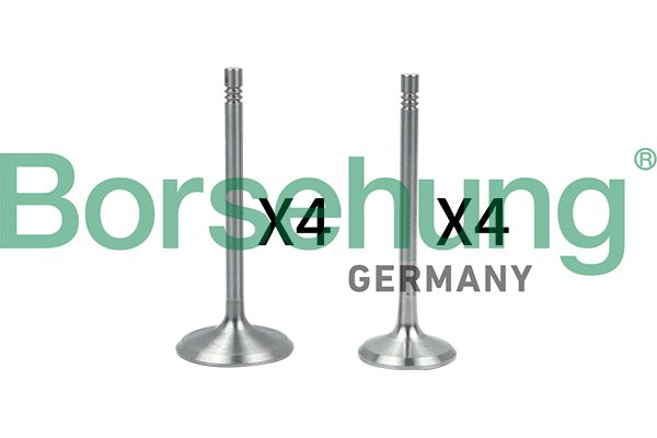 BORSEHUNG B18146 | Subap Takımı (4 + 4) 8 Subap Golf4-Bora-Toledo