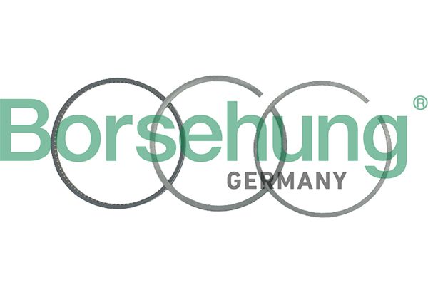 BORSEHUNG B19041 | Motor Segman Std 76.51 mm (Adet) 1.4 TSI-1.6Fsı-Blf-Blp-Bag-Bky-Caxa (Takım Fiyat)